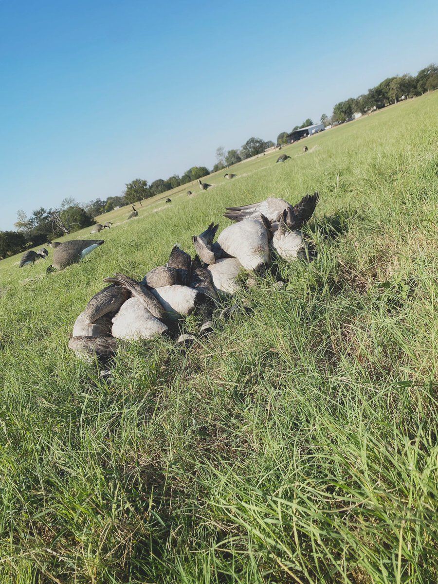Prairie Creek Outfitters tweet media