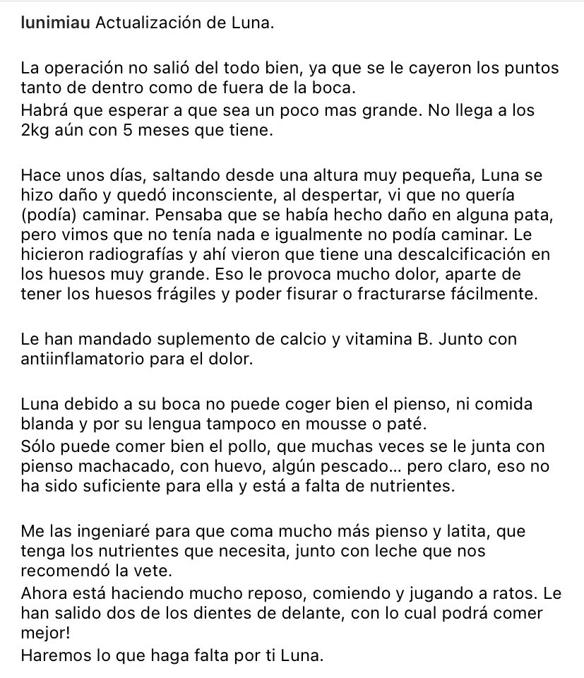 somamics_cat's tweet photo. ¿Nos ayudas con los gastos de Luna y otros gatitos de la asociación? 

➡️lista de deseos de amazon: https://t.co/tUtVQy8omc

➡️paypal: https://t.co/8nEMHJvshP

➡️teaming: https://t.co/FIfqNSmgzD

➡️número de cuenta: ES6800730100500506104788 https://t.co/pzUWyvRgBZ