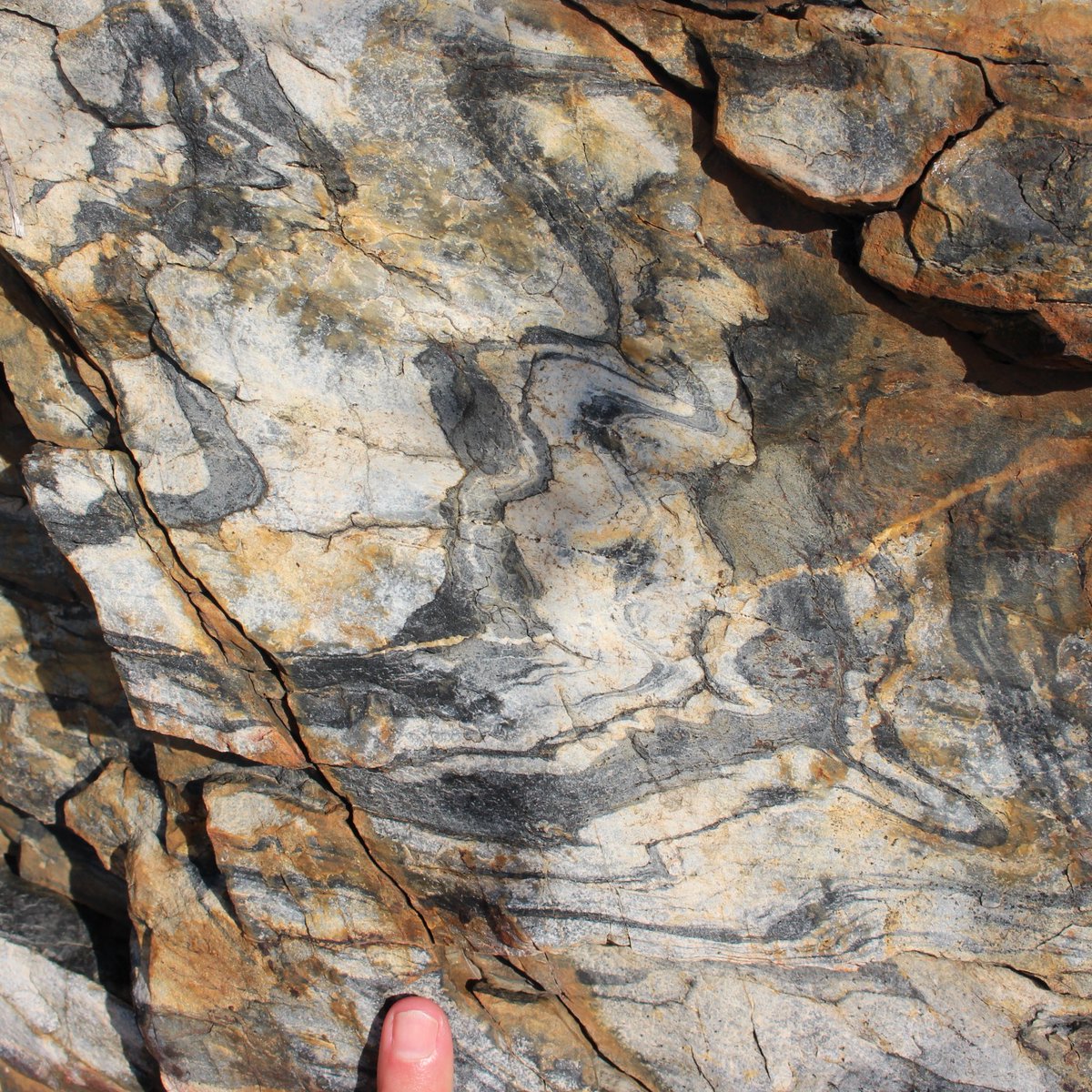 melaniefinch_'s tweet photo. Day 65: Folds in a banded quartzite from Cap de Creus, N Spain
 
#100DaysofGeoscience https://t.co/QsLRGk3E0G