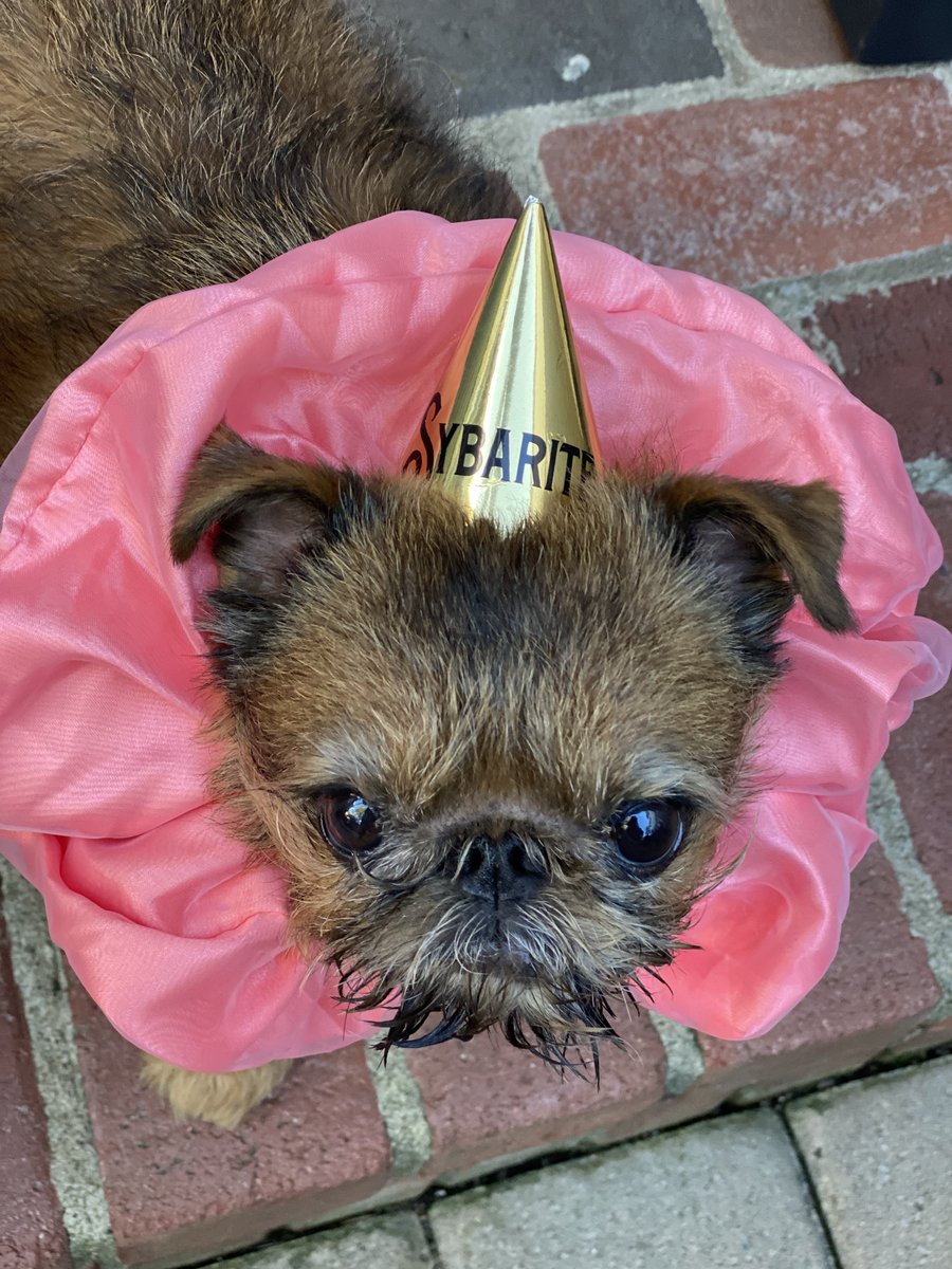 This cryptid of an unknown origin is a true SYBARITE. The Paranormal Smut Club is investigating his evolutionary origins. He is very likely at least part potato.