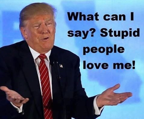 pawley_robert's tweet photo. @andylumm @rdwtbl2u3 @TierraHenson @wjack76995 @leftvic @carlsmythe @Alex_on_A14 @BrowningNeelyn @MelinaCycling @Bebert701 @JSAHolmes @RTheatheist @ChrisJohnsonMD @nyob7714 @KayVonPaul @WendyOrent @ghoppe @Will_holliday1 @barryjohnreid21 @NateWeymouth @FineAndBrennan @BurgerLab12 @JohnBee888 @ItsAllLies1 @MdRisette @ADreyzen @mcfunny @BioVisionary @RodFair2 @DEKKplans @KAMasse81 @jamesgordon4th @DontMes70957787 @Jenni86587557 @SassyGirlD1 @SaltaoVladimir @jhan2qt @Nycweatherrepor @Michell69397997 @lizditz @TakeThatCDC @Dkingnbearjavi @markmcdougall13 @thatsnotmine125 @florida_reb @ginapro @trpdo @fredwibblington @300locsNrunnin Heโs a #TRUMPFLAKE https://t.co/Wfakjs3Cs2