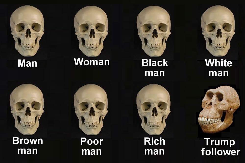 pawley_robert's tweet photo. @andylumm @rdwtbl2u3 @TierraHenson @wjack76995 @leftvic @carlsmythe @Alex_on_A14 @BrowningNeelyn @MelinaCycling @Bebert701 @JSAHolmes @RTheatheist @ChrisJohnsonMD @nyob7714 @KayVonPaul @WendyOrent @ghoppe @Will_holliday1 @barryjohnreid21 @NateWeymouth @FineAndBrennan @BurgerLab12 @JohnBee888 @ItsAllLies1 @MdRisette @ADreyzen @mcfunny @BioVisionary @RodFair2 @DEKKplans @KAMasse81 @jamesgordon4th @DontMes70957787 @Jenni86587557 @SassyGirlD1 @SaltaoVladimir @jhan2qt @Nycweatherrepor @Michell69397997 @lizditz @TakeThatCDC @Dkingnbearjavi @markmcdougall13 @thatsnotmine125 @florida_reb @ginapro @trpdo @fredwibblington @300locsNrunnin Heโs a #TRUMPFLAKE https://t.co/Wfakjs3Cs2
