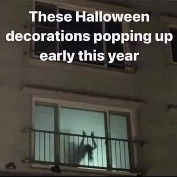 Dirty Magic (@fvckyoudonohue) on Twitter photo 