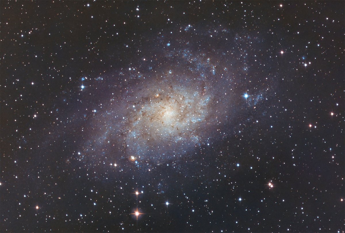 MrFu709's tweet photo. M33 - The Triangulum Galaxy. Taken from my backyard in the early hours of 26SEP2021.
#space #science #astrophotography #amateurastronomy #cosmos #meade #celestron #CGX #zwo #Orion #sharpcap #pixinsight #primalucelab https://t.co/AjGVxt01Qu
