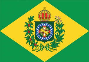 Von Regium on X: Se queimar, vai presa. Essa bandeira é uma bandeira  histórica do Brasil, o crime é de 2 a 4 anos. Será que ela tenta a sorte?  / X