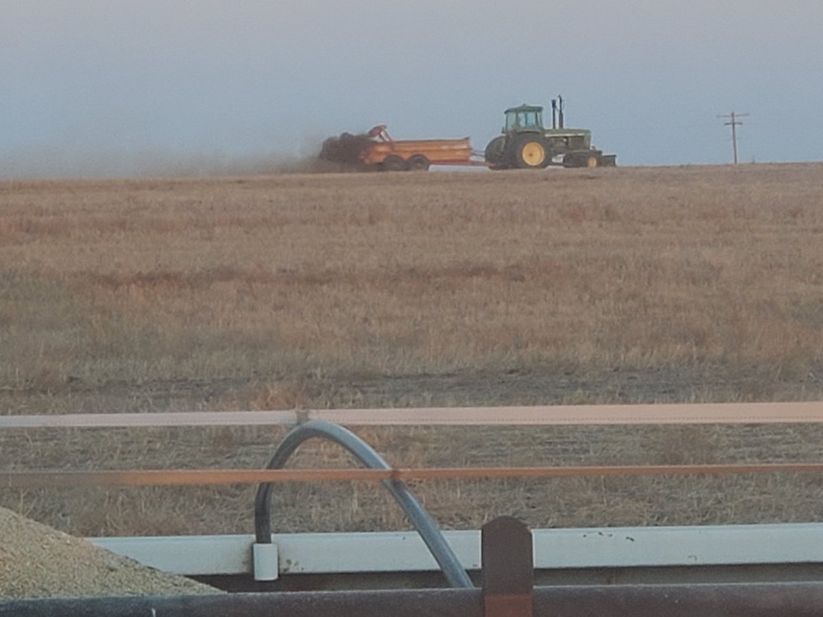 KrisSchaffert's tweet photo. harvesting milo and spreading manure at the same time! #2mancrew https://t.co/CzKue3QeVZ