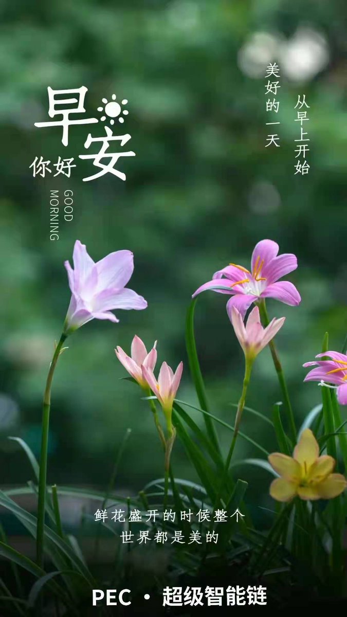 wzh5215211's tweet photo. 天天开心！ https://t.co/3sLzWZJloZ
