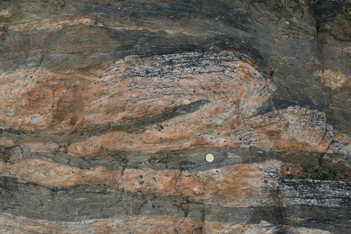 melaniefinch_'s tweet photo. Day 73: Asymmetric folds indicating dextral shearing in a tourmaline pegmatite from Sierra de Quilmes, NW Argentina.

#100DaysofGeoscience https://t.co/TMyoQgHGvP