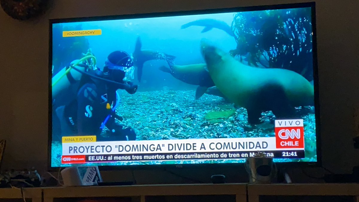 #NoADominga el archipiélago debe protegerse. El desarrollo no puede ser a costa de ecosistemas y las comunidades. No podemos crear una nueva zona de sacrificio.