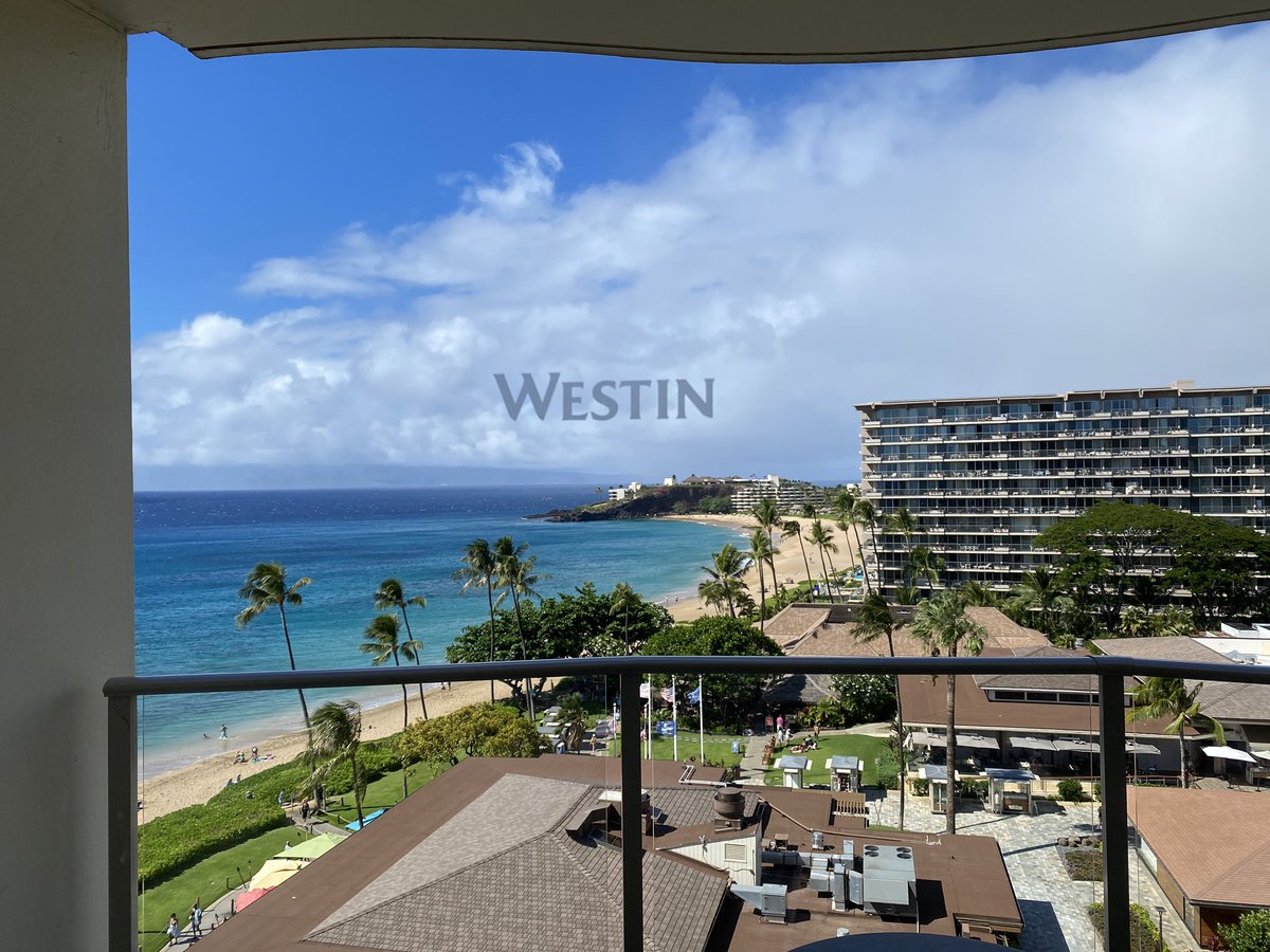 TLDAcademy's tweet photo. Change of plans…tomorrow, I’ll be streaming from this balcony in the morning!! See you then! #farewellweek https://t.co/YLZzRYC5Pd