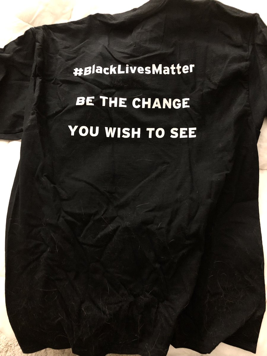 leighlew3's tweet photo. Shout out and big thanks to @JacksonBrittsny for sweetly offering and sending me this dope custom #Guardian tee. I love it! And apparently so does Poe, who already rolled around on the back in an attempt to claim it as his before I could even put it on. 🙃😂 #CatHairDontCare https://t.co/FivBSfmN9j