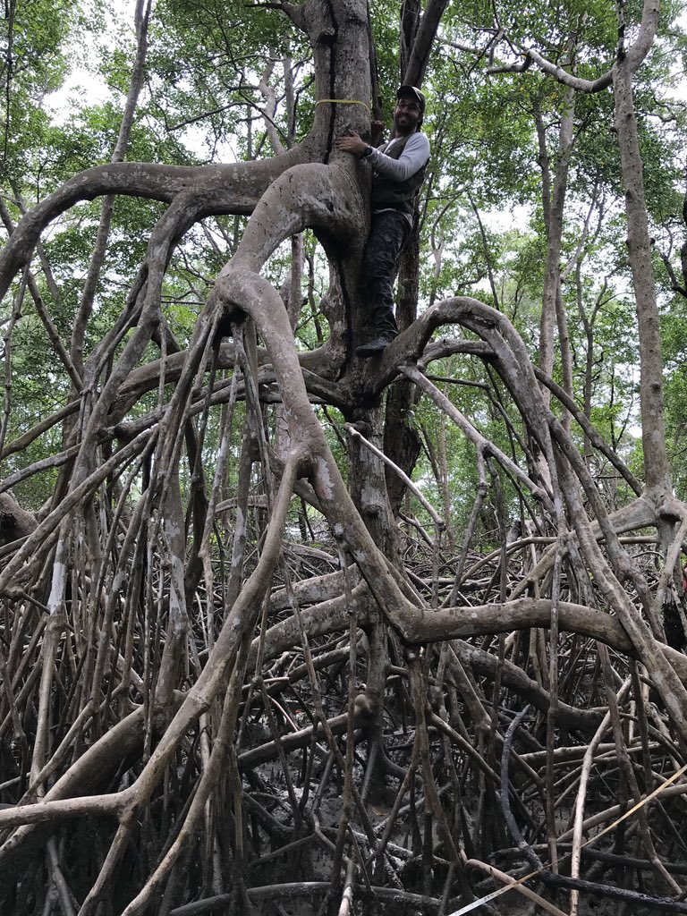 InsideNatGeo's tweet photo. Explorer @AngBernardino shared: “I feel that Brazilians are blessed to grow in the midst of such a diverse nature, from mountains to forests and beautiful coasts. I have had a strong connection to nature since I was a kid who spent much of my time in the farmlands.” https://t.co/VSuoGba66Q