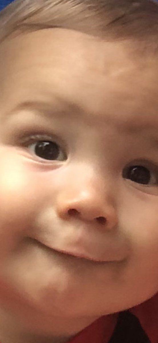 katievanmeter's tweet photo. Just here to tell you my nephew is better than yours. https://t.co/9Bp2qYTMhP