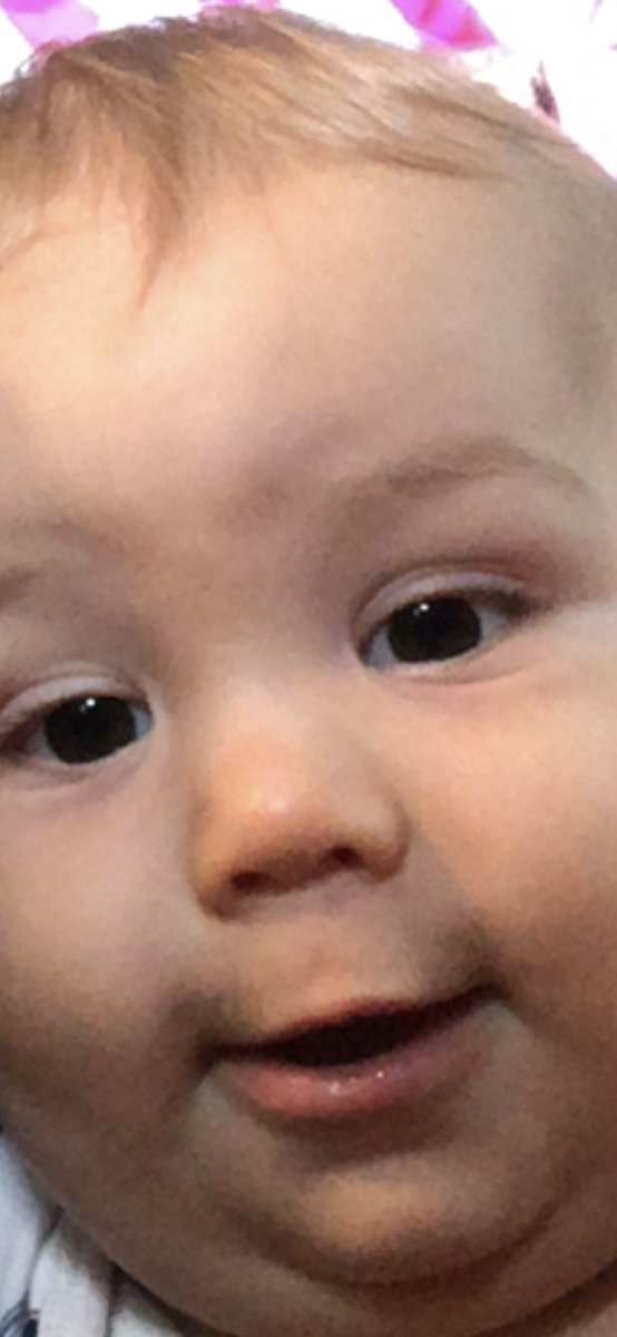 katievanmeter's tweet photo. Just here to tell you my nephew is better than yours. https://t.co/9Bp2qYTMhP