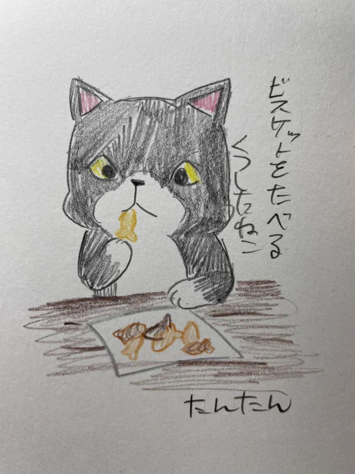 ビスケットを食べるくつしたねこ

#イラスト #猫 