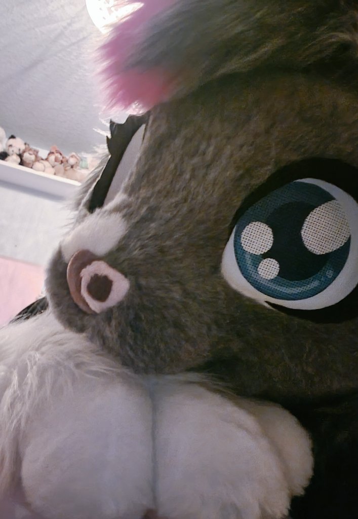 Anyway, totally missed #FursuitFriday but its okay.

#furry #fursuit