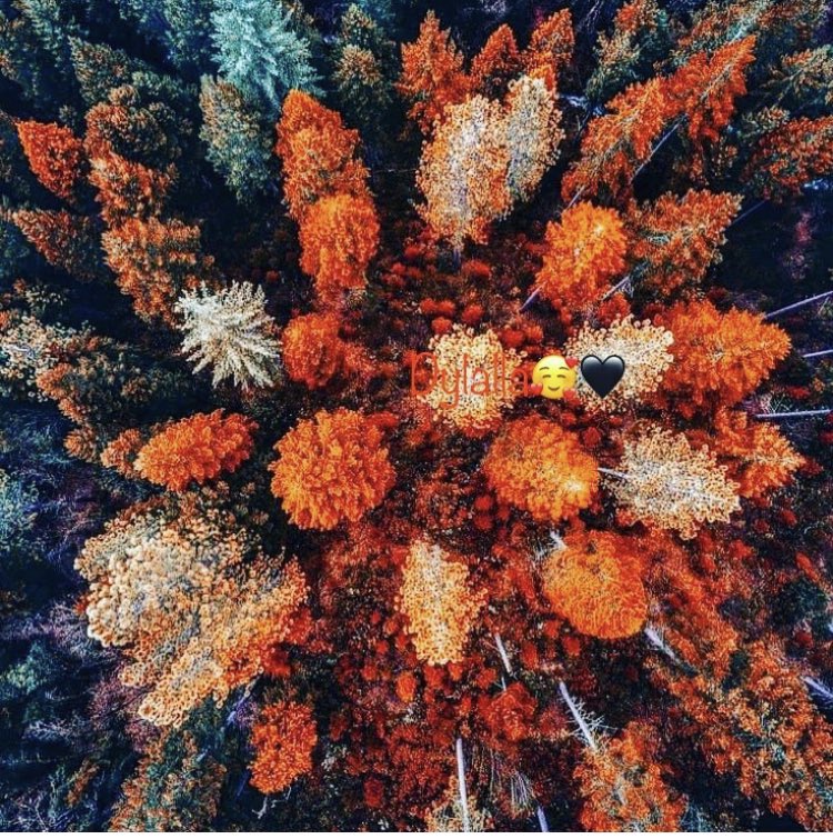LaLauraTexanGrl's tweet photo. Autumn and fall in love with the stunning color palette
#AutumnColors🧡🤎 🍂🍁#FallPalette🧡🤎 🍂🍁 https://t.co/H3GSApntaK