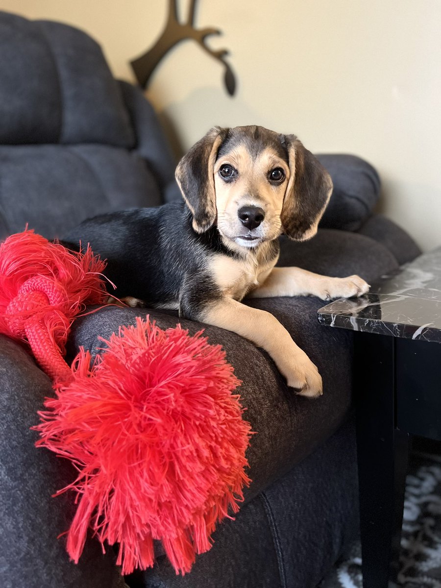 puppayas's tweet photo. Hello! Anyone there? https://t.co/m3wKl1zjD8