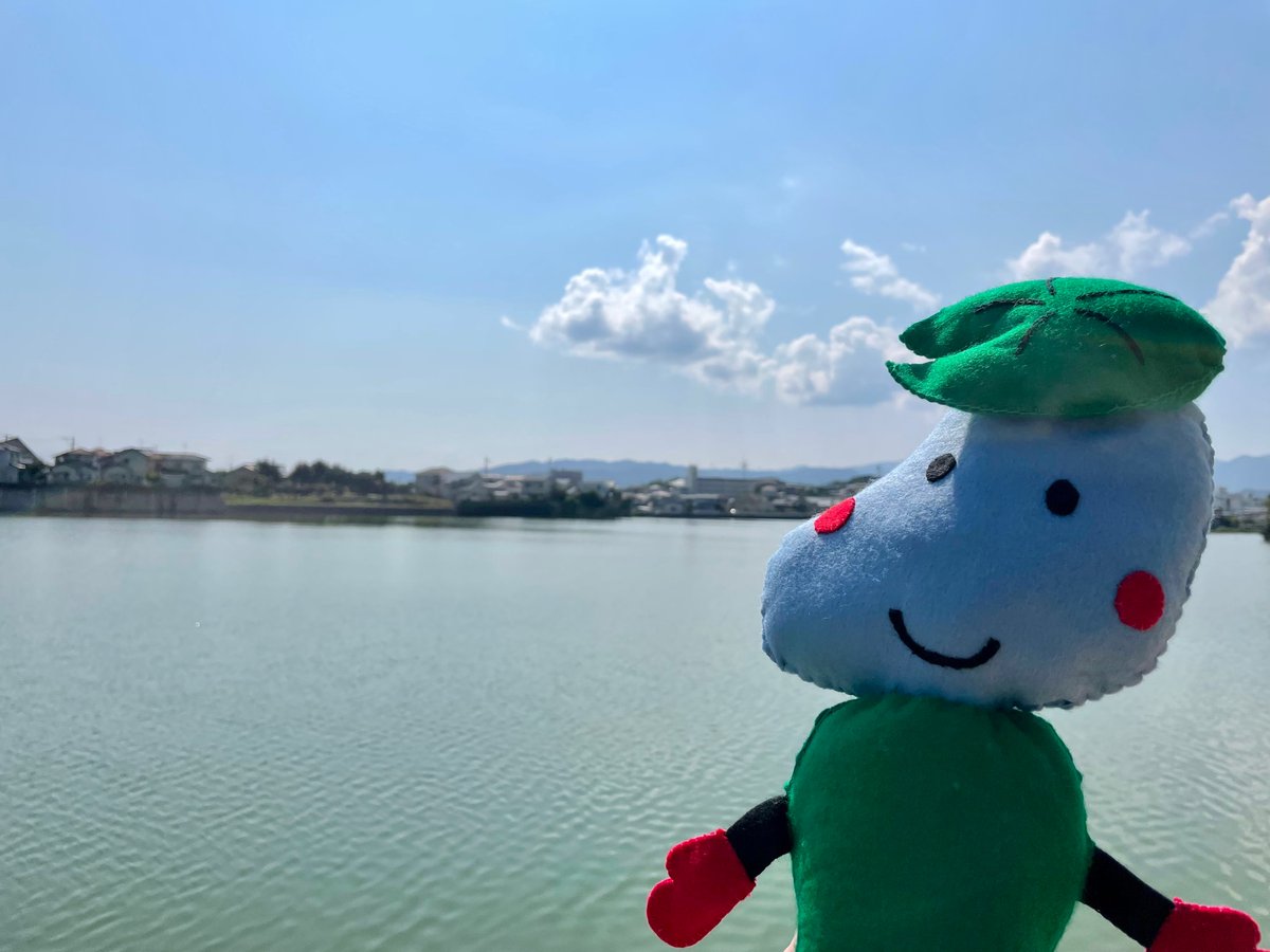 ため蔵 福岡市南区 公式 Tamezoh Fminami Twitter ため蔵 福岡市南区 公式 Tamezoh Fminami Twitter