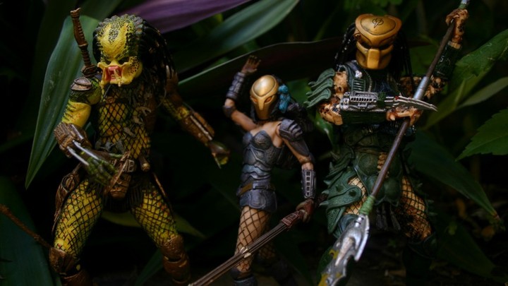 Toy_Tavern's tweet photo. Our Theme of the Month is Teams of Three 2.0! Photo from user predaguy 

#Predator #NECA #ActionFigures #actionfigurephotography #toys
#toyphotography #toypics #toystagram #figlife #toytavern https://t.co/xnrKmHirtJ