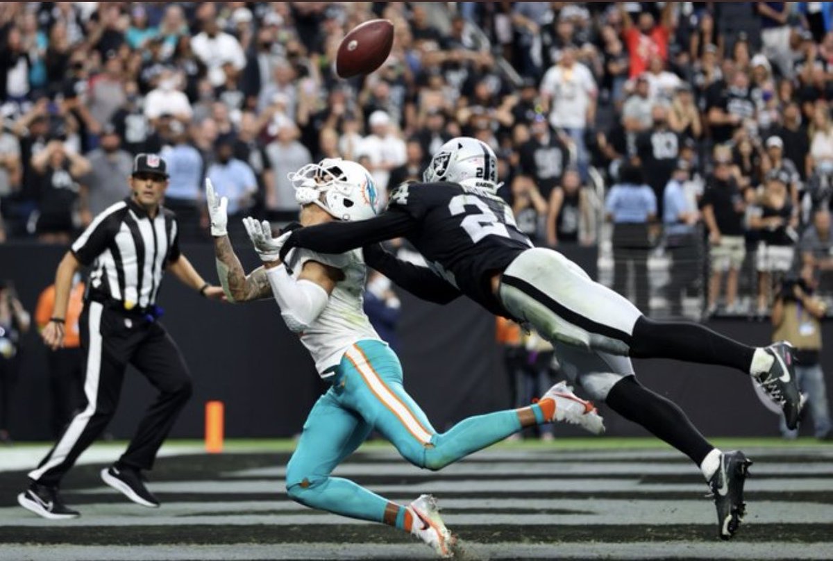 dolphinalytics tweet picture