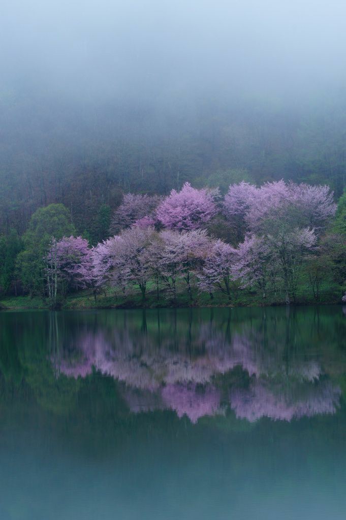 BeautyNature___'s tweet photo. Good morning friends. 
#nature #NaturePhotography https://t.co/F6aX1Hazlg