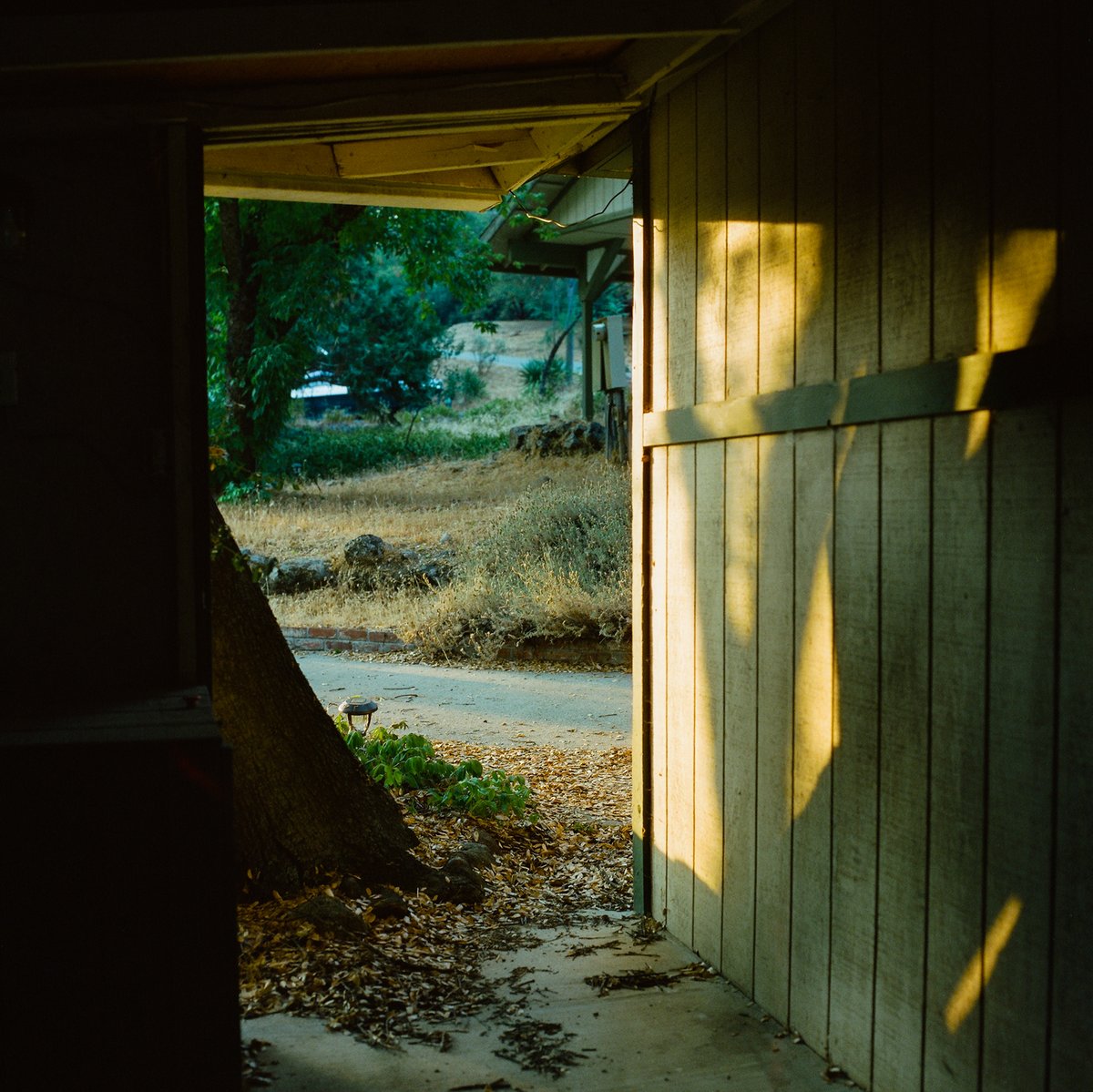 yerolkim's tweet photo. [CineStill Tungsten 800] 

#NFT #NFTs #NFTCommunity #nftcollector #NFTcollections #nftart #NFTdrop #NFTartist #Crypto #cryptocurrecy #Cryptoart #cryptoartist #hasselblad #mediumformat #photography #Photos #PhotoOfTheDay #photographer #photographers #ETH #Ethereum #openseanfts https://t.co/qZQ5K0qFIE