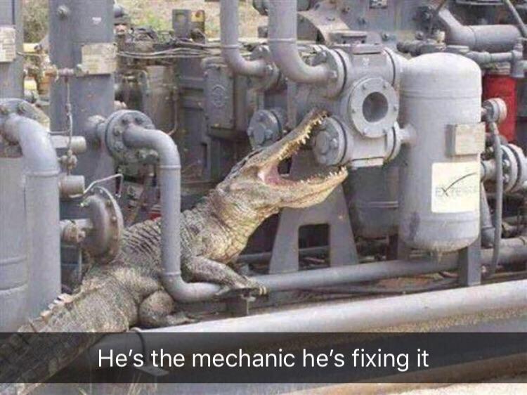 Gators Daily 🐊 (@gatorsdaily) on Twitter photo 