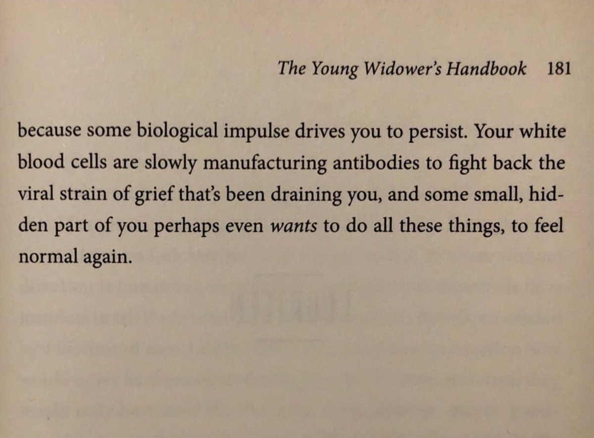 fr e sh a voca do tweet media