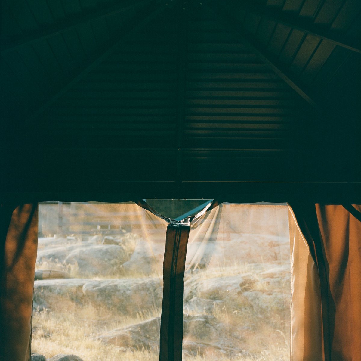 yerolkim's tweet photo. [CineStill Tungsten 800]

#NFT #NFTs #NFTCommunity #nftcollector #NFTcollections #nftart #NFTdrop #NFTartist #Crypto #cryptocurrecy #Cryptoart #cryptoartist #hasselblad #mediumformat #photography #Photos #PhotoOfTheDay #photographer #photographers #ETH #Ethereum #openseanfts https://t.co/7rGiLlM8p5