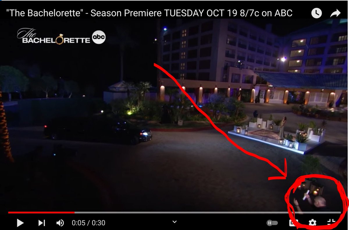Did anyone else notice the dude directing traffic on Night One?! I love to analyze the previews so that I can spoiler-free guess what's going to happen and some times I see some interesting things! I'm so excited for Michelle's season!  #TheBachelorette