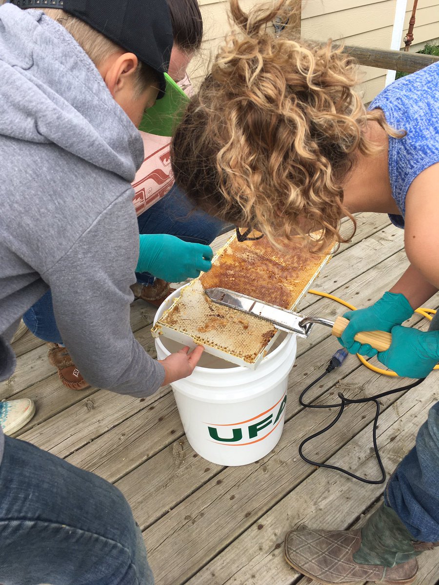 Altario school tweet media