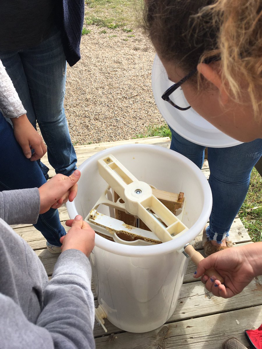 Grade 6 students extracting honey