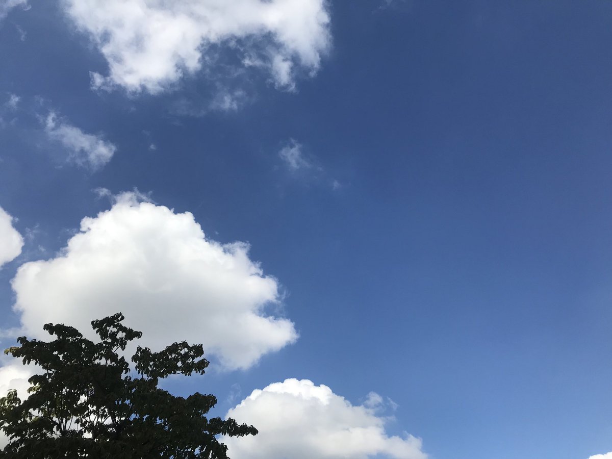 おはようございます。今朝の名古屋は、爽やかな秋空になりました。ヤスイ質店、今日も元気に営業しています！
yasui78.com