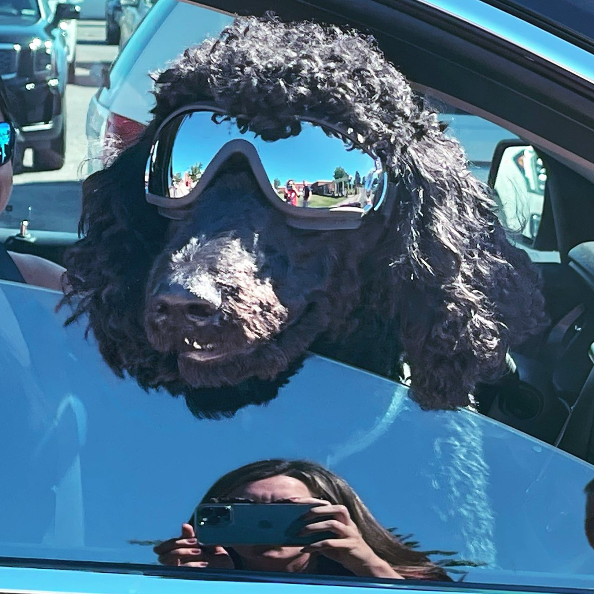 If you know of a cooler dog than this, I want to know about it. 🤣 Just a normal day in carline at <a href="/SchoolBurleson/">Burleson School</a>!