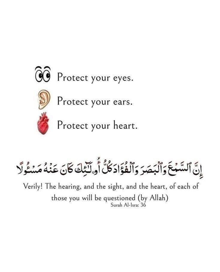 imahsan2's tweet photo. 🌸🥀 https://t.co/B2Kxi4WNxp