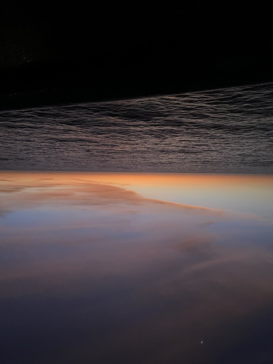 PLUME RAIDERS (RR2106) tweet media