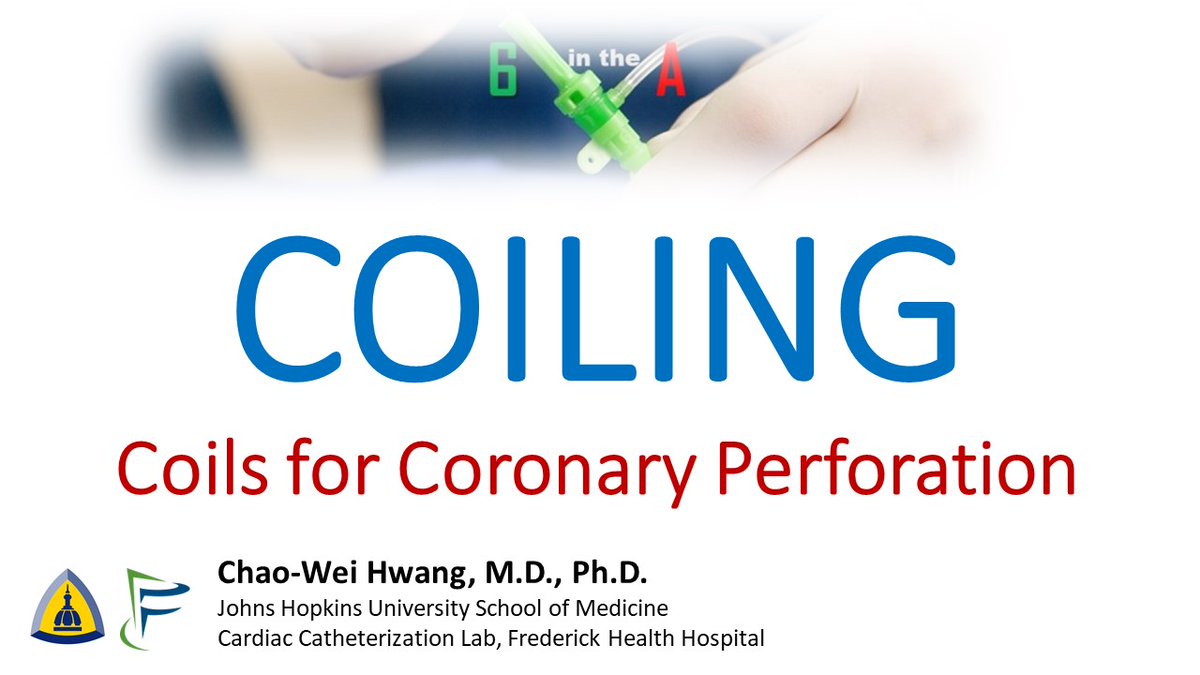 Chao-Wei Hwang tweet media