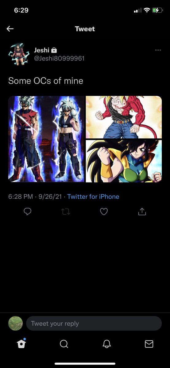 GogetaReaper's tweet photo. This person just took me and my friends oc and me and my sister secret transformation endurance dragon mode and we all know well here this is not ok https://t.co/UHQkGTomLT