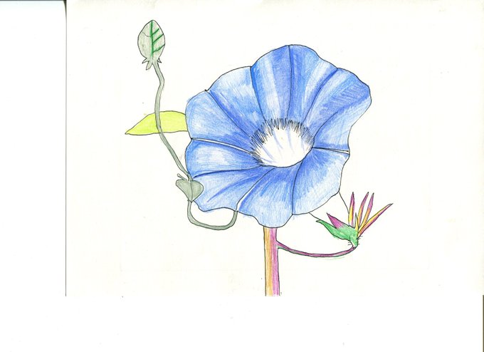 手描のtwitterイラスト検索結果