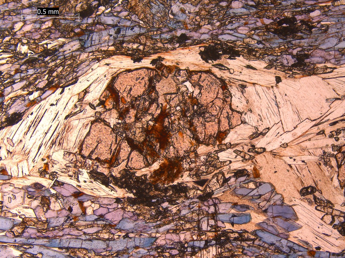 melaniefinch_'s tweet photo. Day 88: A garnet porphyroblast with phengite in pressure shadows and on the edges, within a epidote-blueschist. From Syros, Greece.
#ThinsectionThursday #100DaysofGeoscience https://t.co/sK5NSTiguX