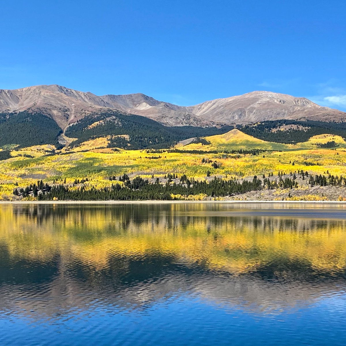 VisitLeadville's tweet photo. How about those #fallcolors near #TwinLakesColorado? https://t.co/xrZkbVObzX