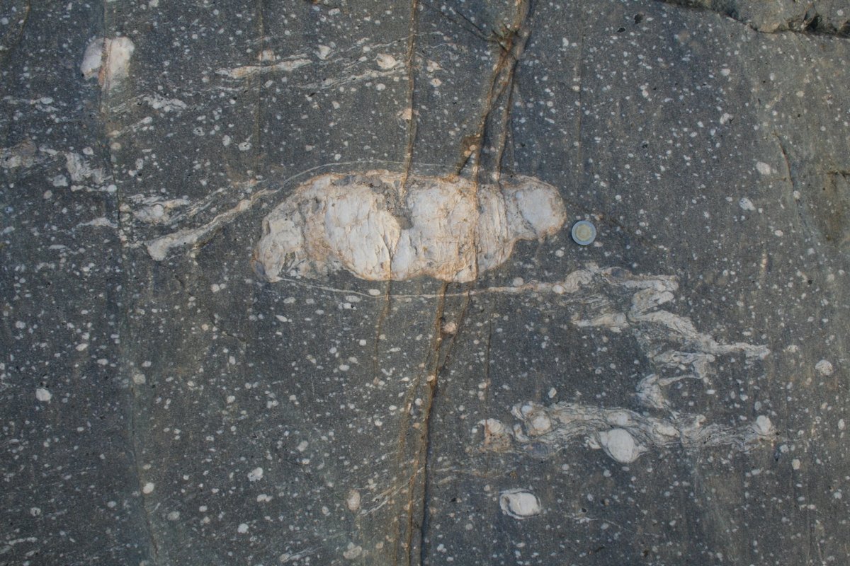 melaniefinch_'s tweet photo. Day 89: Folded leucocratic layer in a mylonite. I spent a long time staring at this outcrop! There are a lot of different shear sense indicators
#100DaysofGeoscience https://t.co/FbLmGk7Opz