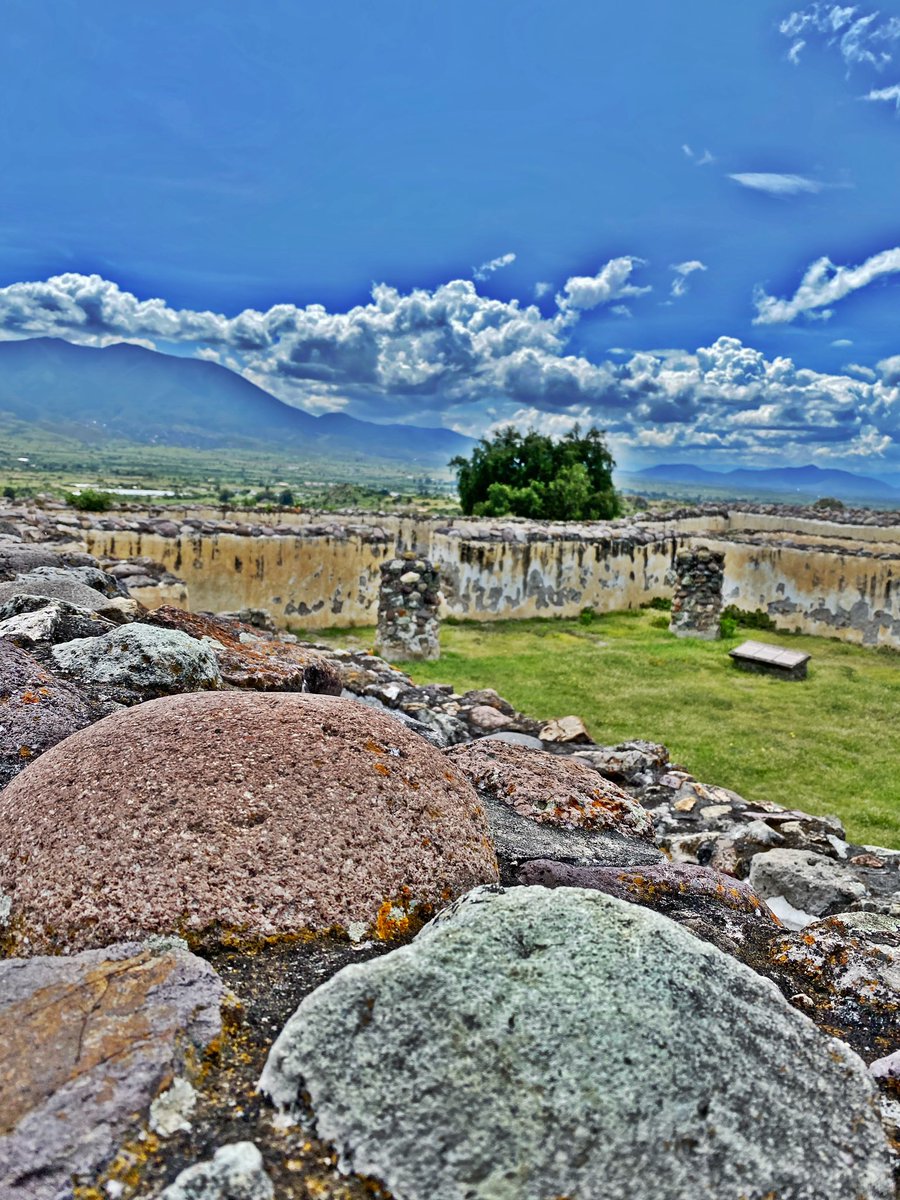 BdonnayM's tweet photo. Así hoy por mi Oaxaca 💚 https://t.co/TpkR1Ycrt4