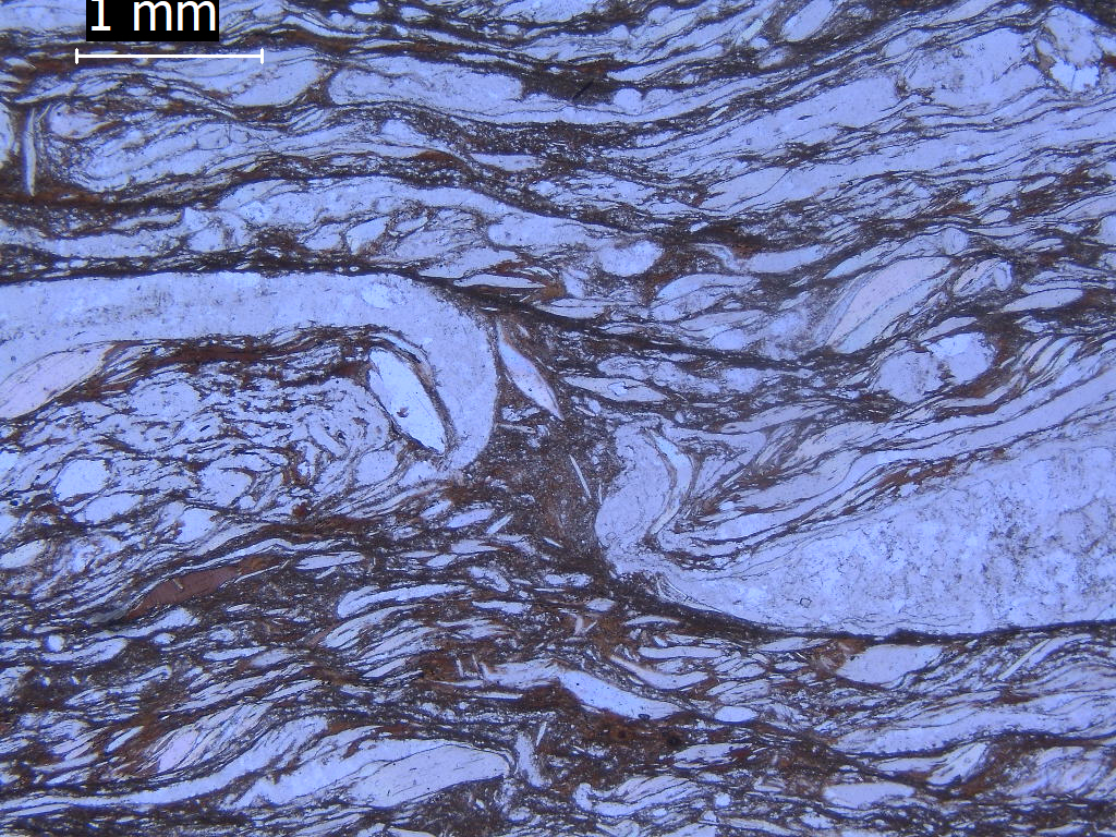 melaniefinch_'s tweet photo. Day 90: Thin section image in PPL of isoclinal folds (hooks) in an orthogneiss. It is easy to imagine the folds were once joined together and have been sheared apart.
#100DaysofGeoscience https://t.co/Z4zMPMaRgO