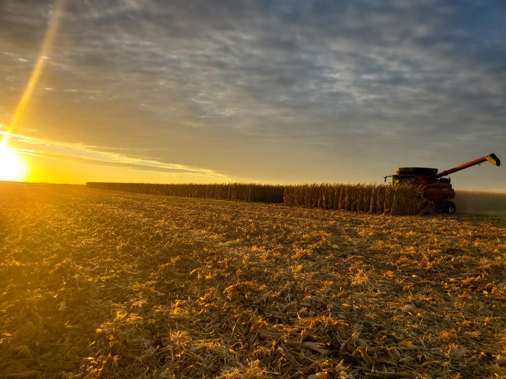 Built4Busines's tweet photo. #Harvest sunset last night at the farm. Doesn't get much better than this. 

@Case_IH @Geringhoff @Birkeys #harvest21 #corn #agriculture #harvesttime #caseih #Illinoisagriculture @maxarmstrong @PamSmithDTN https://t.co/KJrO0sD75L