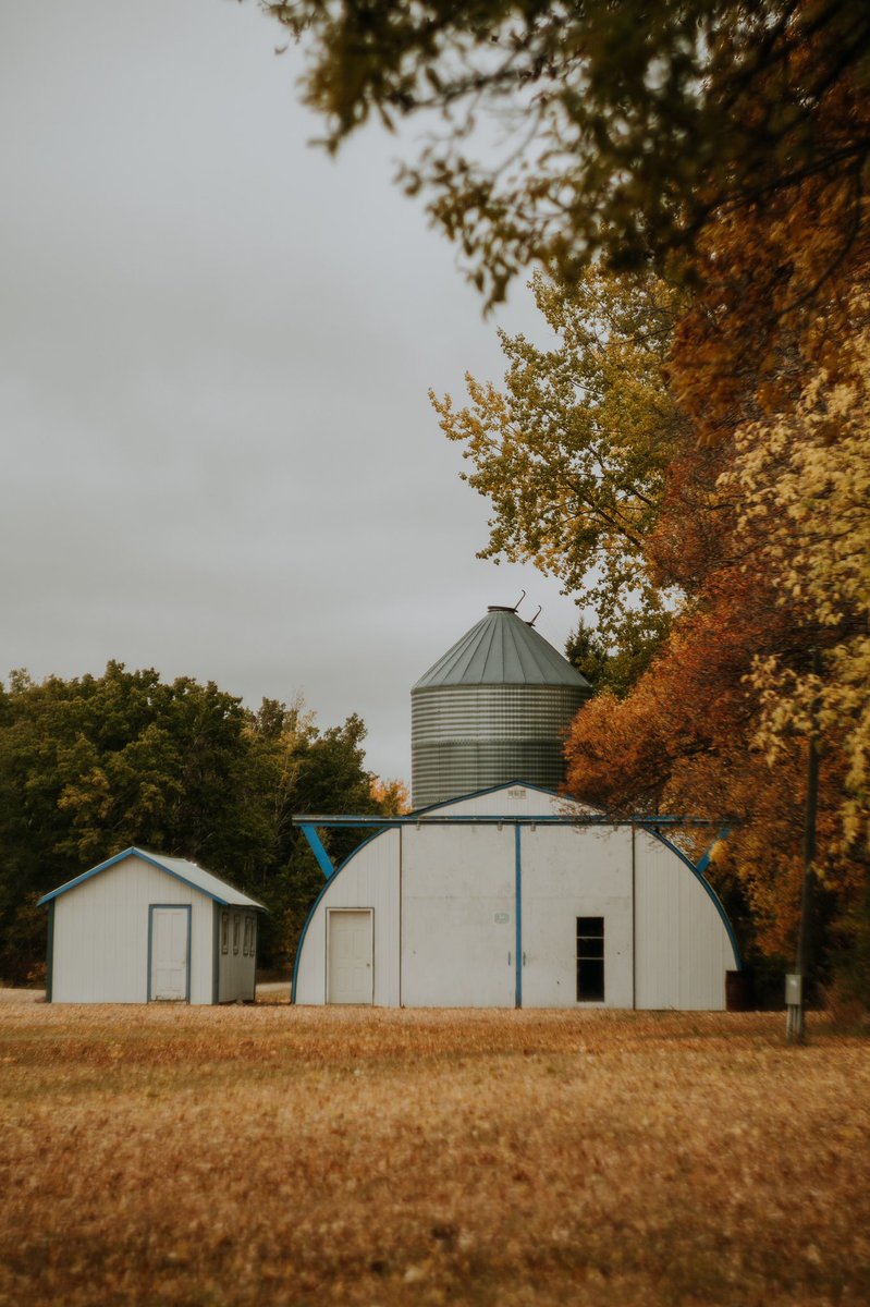 J_Roxas's tweet photo. As fall approaches, I’m definitely missing having real seasons #farmframes #tonesandframes https://t.co/4L1lyiKHLC