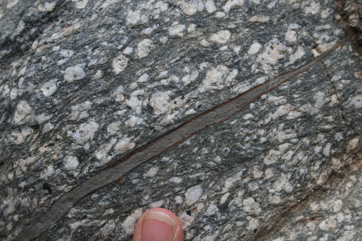 melaniefinch_'s tweet photo. Day 91: The brown layer here with the dark boundary is a pseudotachylyte within a mylonite. The mylonite formed in the hanging wall of a high temperature thrust shear zone and as the hanging wall moved upwards it cooled and brittle structures formed.
#100DaysofGeoscience https://t.co/58Um18BlM7