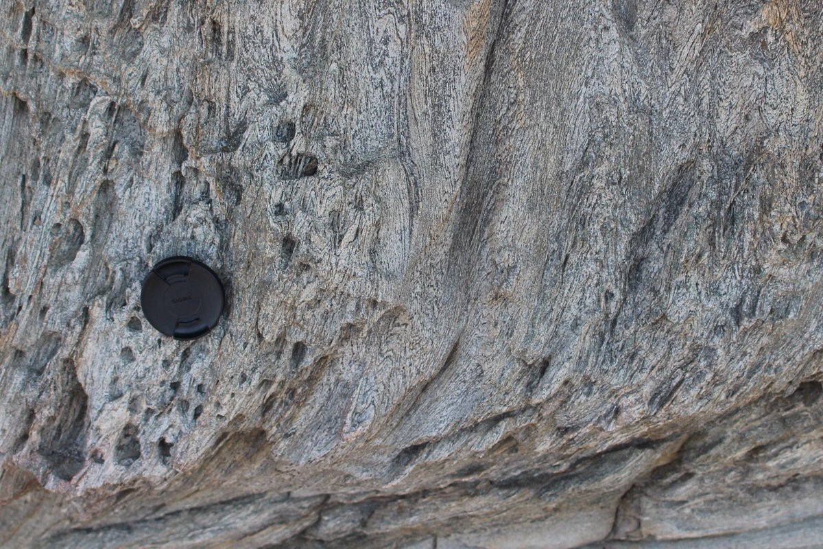 melaniefinch_'s tweet photo. Day 93: Zooming into folds rotated into a shear zone (image one is zoomed out and shows shear zone, image two is closer in, image three shows folds). From Cap de Creus, N Spain.
#100DaysofGeoscience https://t.co/1OEltnxdGY