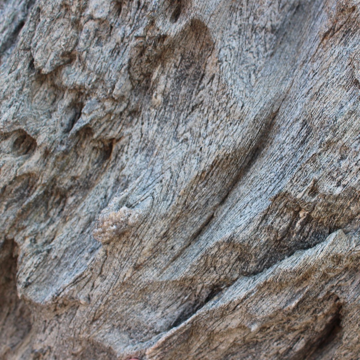melaniefinch_'s tweet photo. Day 93: Zooming into folds rotated into a shear zone (image one is zoomed out and shows shear zone, image two is closer in, image three shows folds). From Cap de Creus, N Spain.
#100DaysofGeoscience https://t.co/1OEltnxdGY
